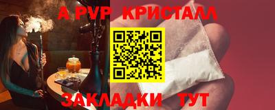 стаф Кинель