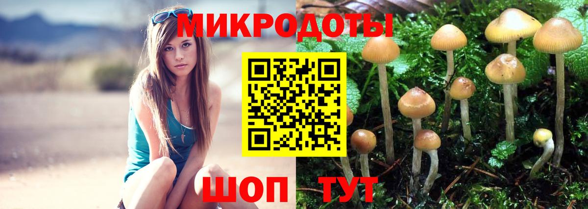 Курчалой  Галлюциногенные грибы Magic Shrooms  Вход с VPN 
