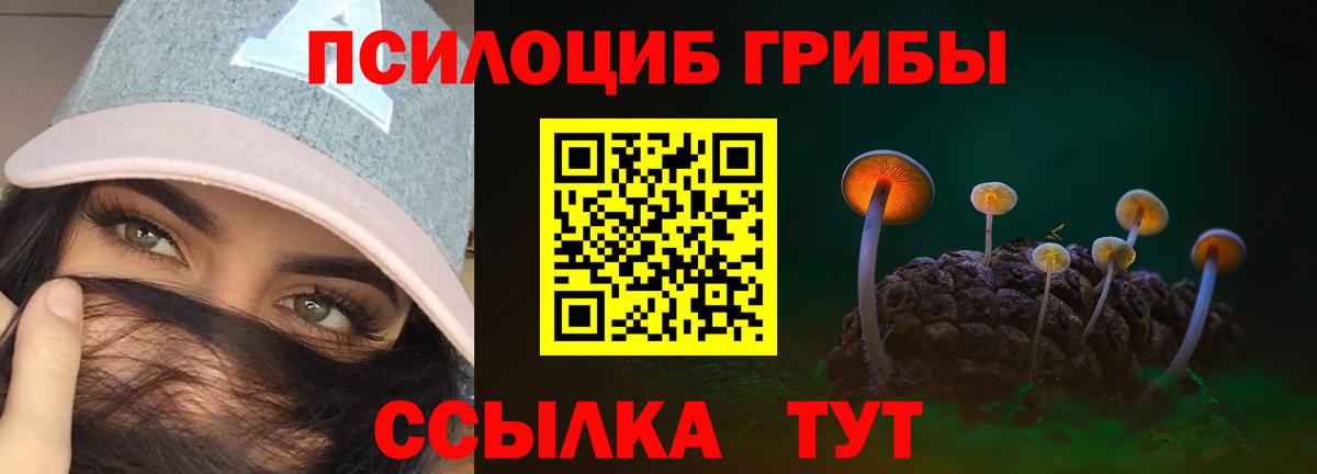 Галлюциногенные грибы Cubensis Курчалой